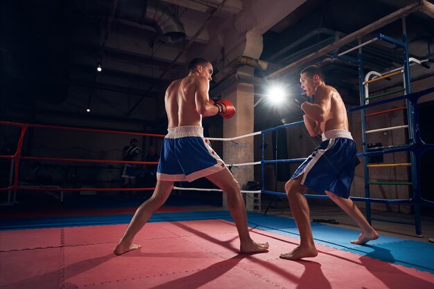 Boxeadores entrenando kickboxing en el ring en el health club