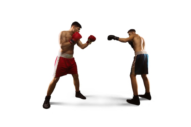 Boxeadores luchando en el ring