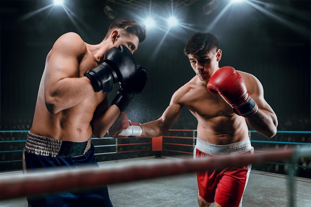 Boxeadores luchando en el ring