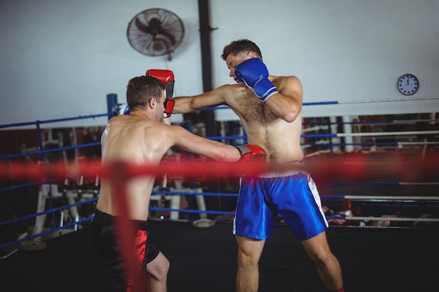 Boxeadores peleando en el ring de boxeo