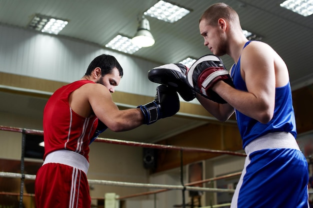 Boxen. Zwei Jungs Boxer trainieren im Fitnessstudio