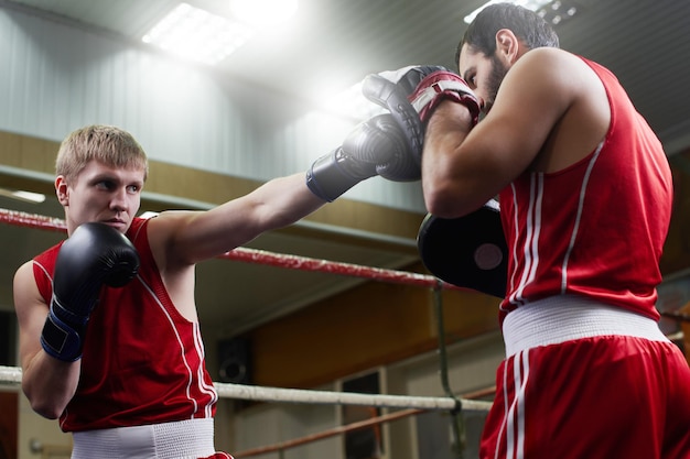 Boxeo. Dos chicos entrenan boxeador en el gimnasio