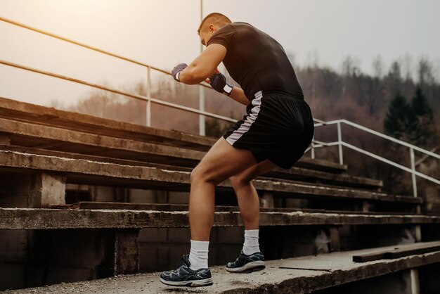 Boxer-Arbeitstraining für Bein