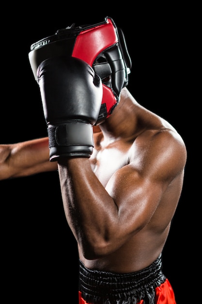 Boxer, executando a posição vertical
