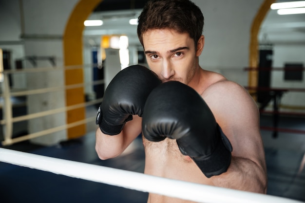 Boxer fuerte con las manos levantadas