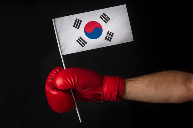 Boxer hält Flagge von Südkorea