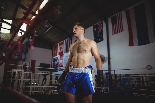 Boxer de pie en el ring de boxeo