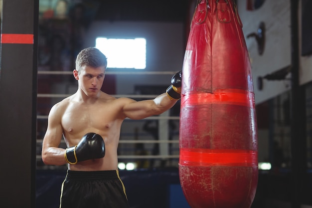 Boxer praticando boxe com saco de boxe