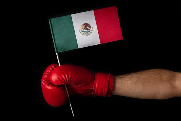 Boxer segura bandeira do méxico