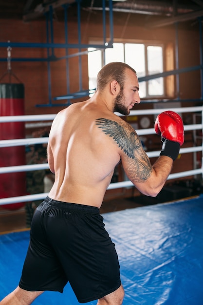 Boxer subió al estrado.