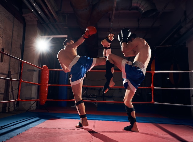 Boxer trainieren Kickboxen im Ring im Fitnessstudio