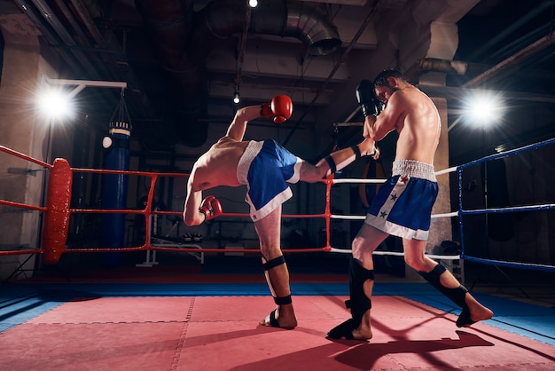 Boxer trainieren Kickboxen im Ring im Fitnessstudio