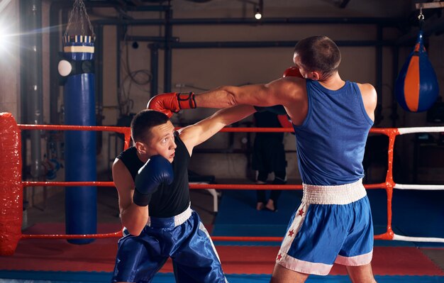 Boxer trainieren Kickboxen im Ring im Fitnessstudio