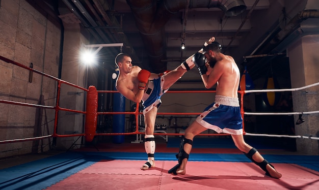 Boxer trainieren kickboxen im ring im fitnessstudio