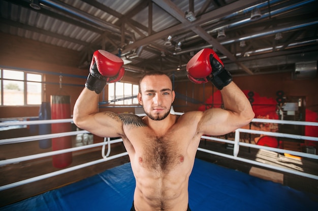 Boxer zeigt Muskeln.