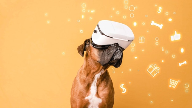 Boxerhund in VR-Brille gegen Online-Shopping-Symbole