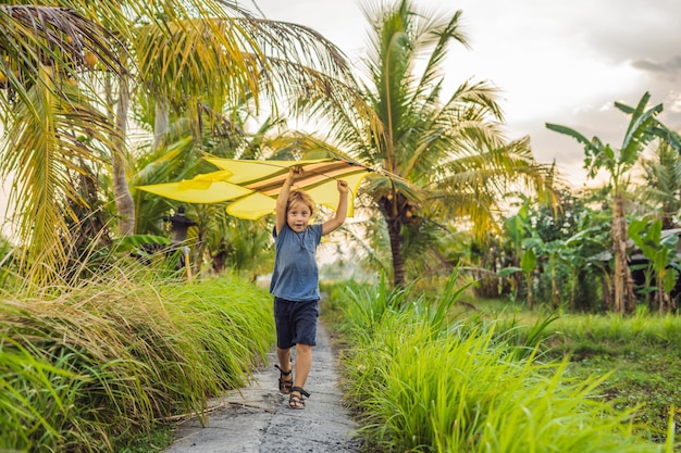 Boy lanzar una cometa en un campo de arroz en la isla de Ubud, Bali, Indonesia