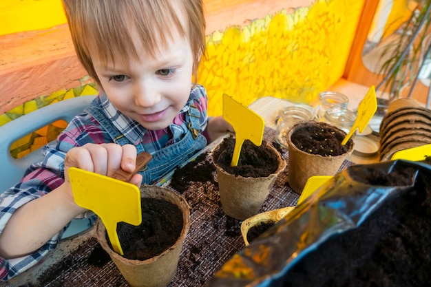 Boy pone marcadores y firma las plantas plantadas