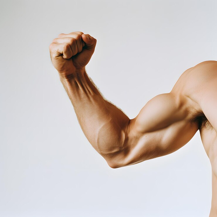 Braço masculino forte flexionando bíceps força muscular braço masculino flexionandobíceps fundo branco