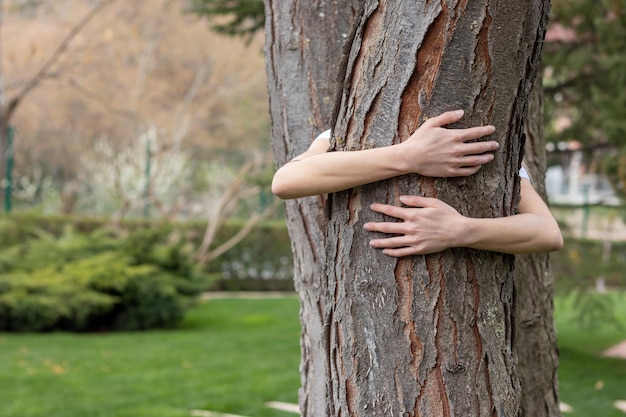 Braços abraçando tronco de árvore Amor pela natureza e descarga de eletricidade estática