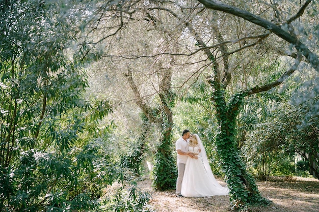 Bräutigam und Braut in einem weißen Kleid stehen im Park zwischen den Bäumen