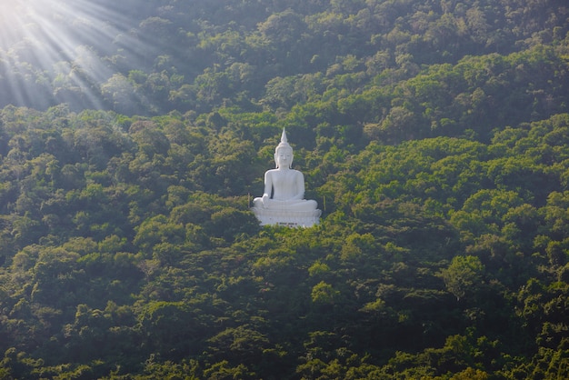 Branca, buddha, estátua