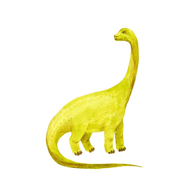 Braquiossauro isolado no branco. Dinossauro verde. Ilustração em aquarela. Etiqueta, coisas de criança.
