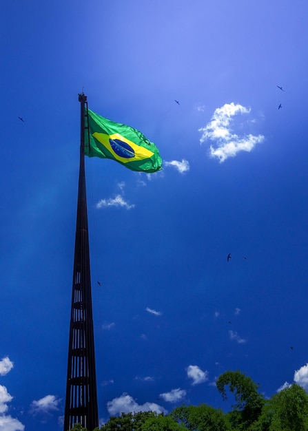 Brasilianische Flagge auf einer riesigen Stange mit blauem Himmel und Vögeln, die im Hintergrund vertikal fliegen