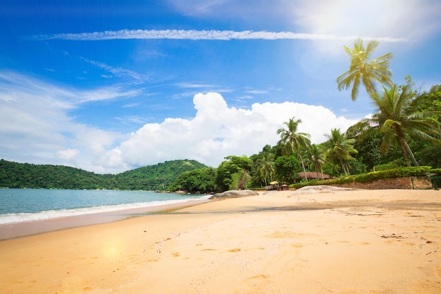 Brasilianischer Strand am Paraty