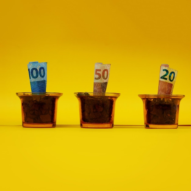 Brasilianisches Geld in einem Topf oder Vaze über gelbem Hintergrund gepflanzt
