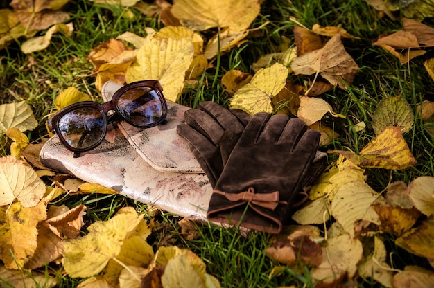 Braune Damenbrillen und -handschuhe liegen auf einer rosafarbenen Clutch mit einem Rosendruck auf herbstgelbem Laub unter grünem Gras