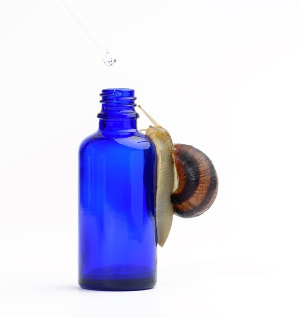 Braune Schnecke sitzt auf einer blauen transparenten Glasflasche mit einer Pipette, Produkt auf einer weißen Oberfläche. Naturkosmetik