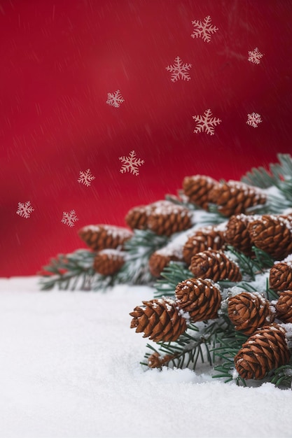 Braune Tannenkegel auf Kiefernzweigen auf Schnee Hinter einem roten Hintergrund mit Schneeflocken