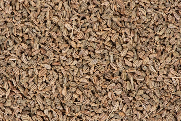 Brauner Bio-Ajowan-Samen in einer Holzschale auf weißem Hintergrund. Ajowan-Samen.