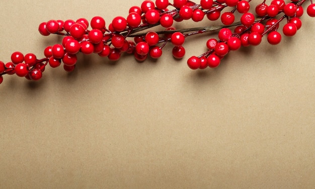 Braunes Banner des Weihnachtshandwerks mit Platz für Text oder Kopierraum mit Zweig der roten Beeren oder Viburnum an der Spitze.