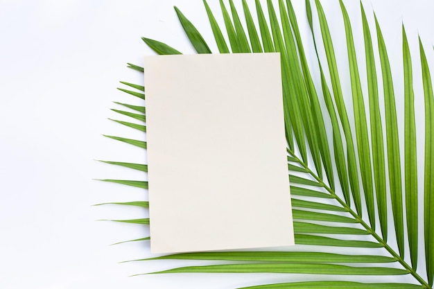 Braunes Papier auf Palmblättern