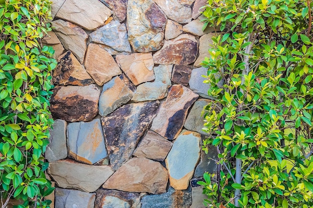 Braungraue Steinmauer mit vielen grünen Blättern auf beiden Seiten Hintergrund