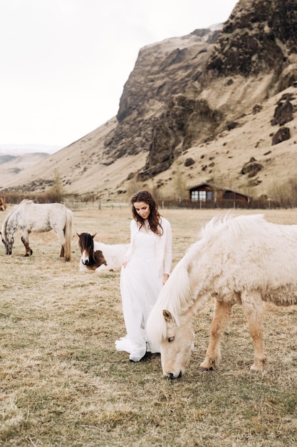 Braut in einem weißen Kleid in einem Feld mit Pferden Ziel Island Hochzeit Fotosession mit