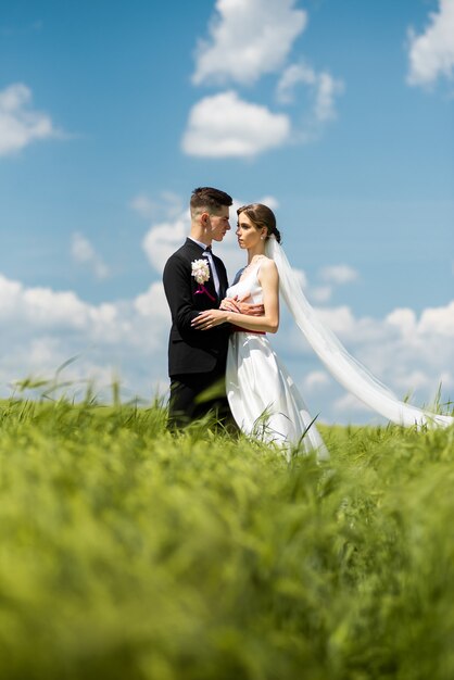 Braut und Bräutigam posieren auf der grünen Wiese