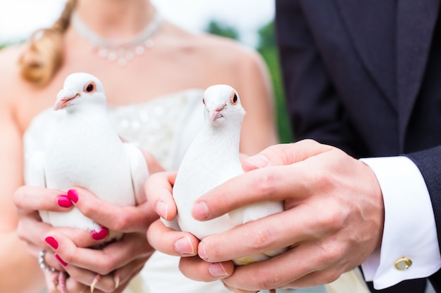 Brautpaare an der Hochzeit mit weißen Tauben