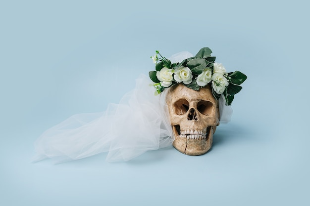 Brautschädel mit Kranz und Schleier über blauem Hintergrund. Halloween-Konzept. Frontansicht.
