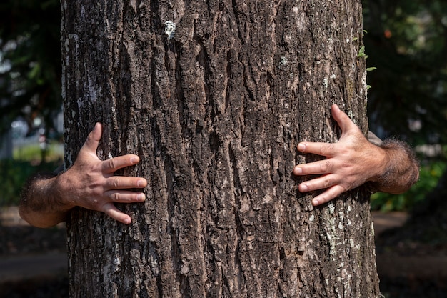 Brazos del hombre que abraza el árbol desde atrás, sin mostrar el cuerpo ni la cara.