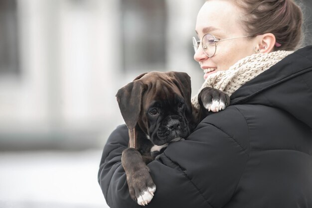 En los brazos de una mujer joven, su cachorro favorito de un boxeador alemán en un paseo de invierno