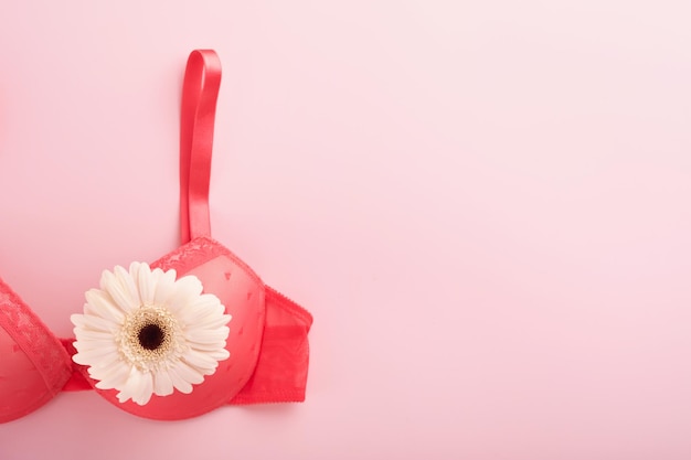 Foto breast cancer awareness ribbon weiße und rote bh-gerberas mit rosa schleifenband, die auf weiblichem bh auf hintergründen liegen brustkrebsbewusstsein und oktober rosa tag weltkrebstag draufsicht mock up