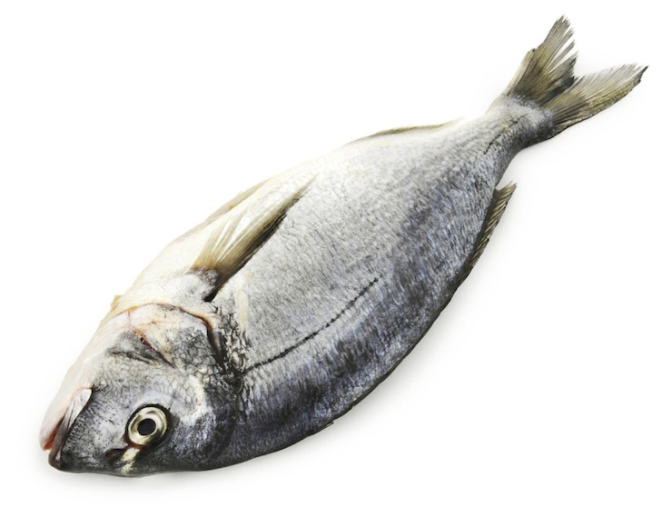 Foto breemfisch