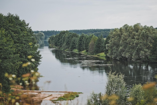 Breiter Fluss, eingerahmt von hohen Bäumen 2422