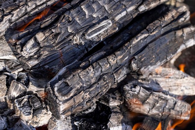 Foto brennen von holzscheiten in einem lagerfeuer beim kochen und aufwärmen