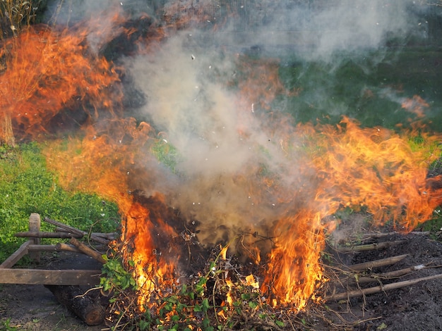 Brennende Feuerflamme