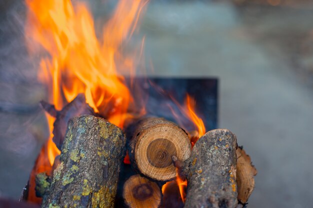 Brennende Kirschstämme auf dem Grill, Kohlen zum Grillen