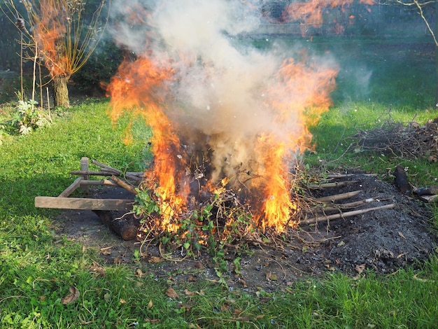 Brennendes Feuer Lagerfeuer